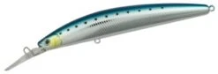 Daiwa Shore Line Shiner MM 13 Daiwa Shore Line Shiner MM -Salty Water Tackle p 8 0 1 6 8016 6905