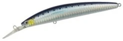 Daiwa Shore Line Shiner MM 15 Daiwa Shore Line Shiner MM -Salty Water Tackle p 8 0 1 8 8018 6907