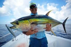 BKK Lone Diablo Inline Hook 8091-5X-HG -Salty Water Tackle p 8 1 5 4 8154 legend 1