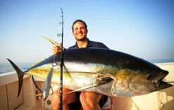 BKK Lone Diablo Inline Hook 8091-5X-HG -Salty Water Tackle p 8 1 5 5 8155 legend 1