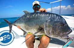 Hammerhead Cherry Pai 200 SUS