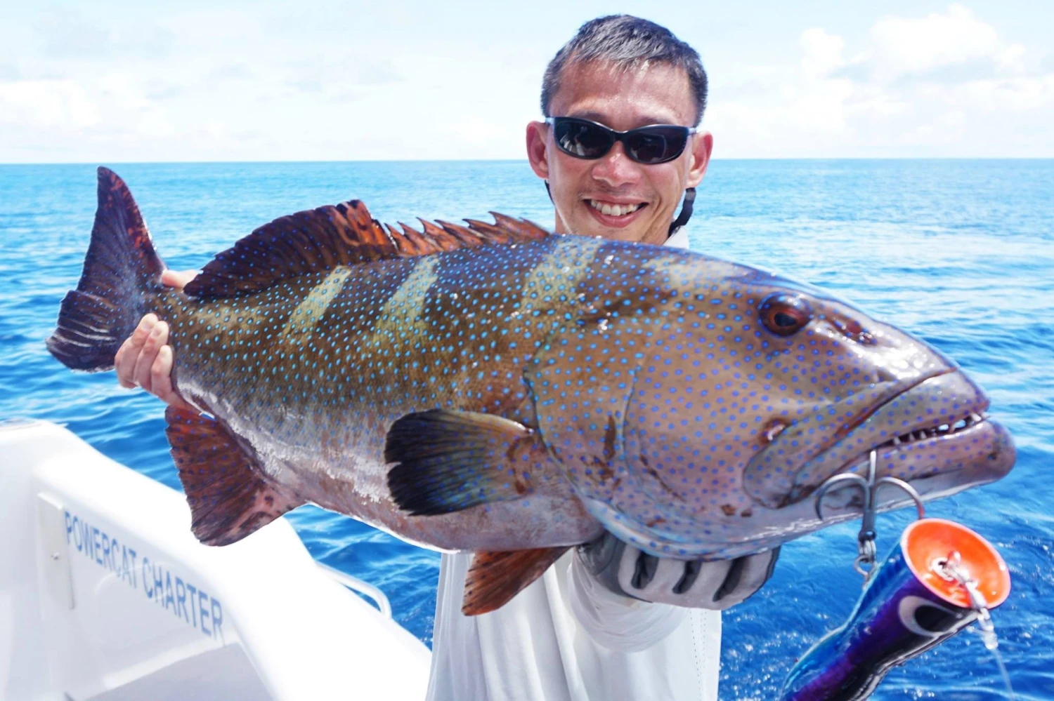 Borboleta Ballyhoo GT Poppers 9 Borboleta Ballyhoo GT Poppers - Image 9