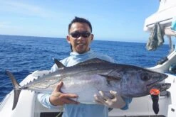 Borboleta Ballyhoo GT Poppers 20 Borboleta Ballyhoo GT Poppers -Salty Water Tackle p 8 3 1 1 8311 Borboleta Ballyhoo GT Poppers