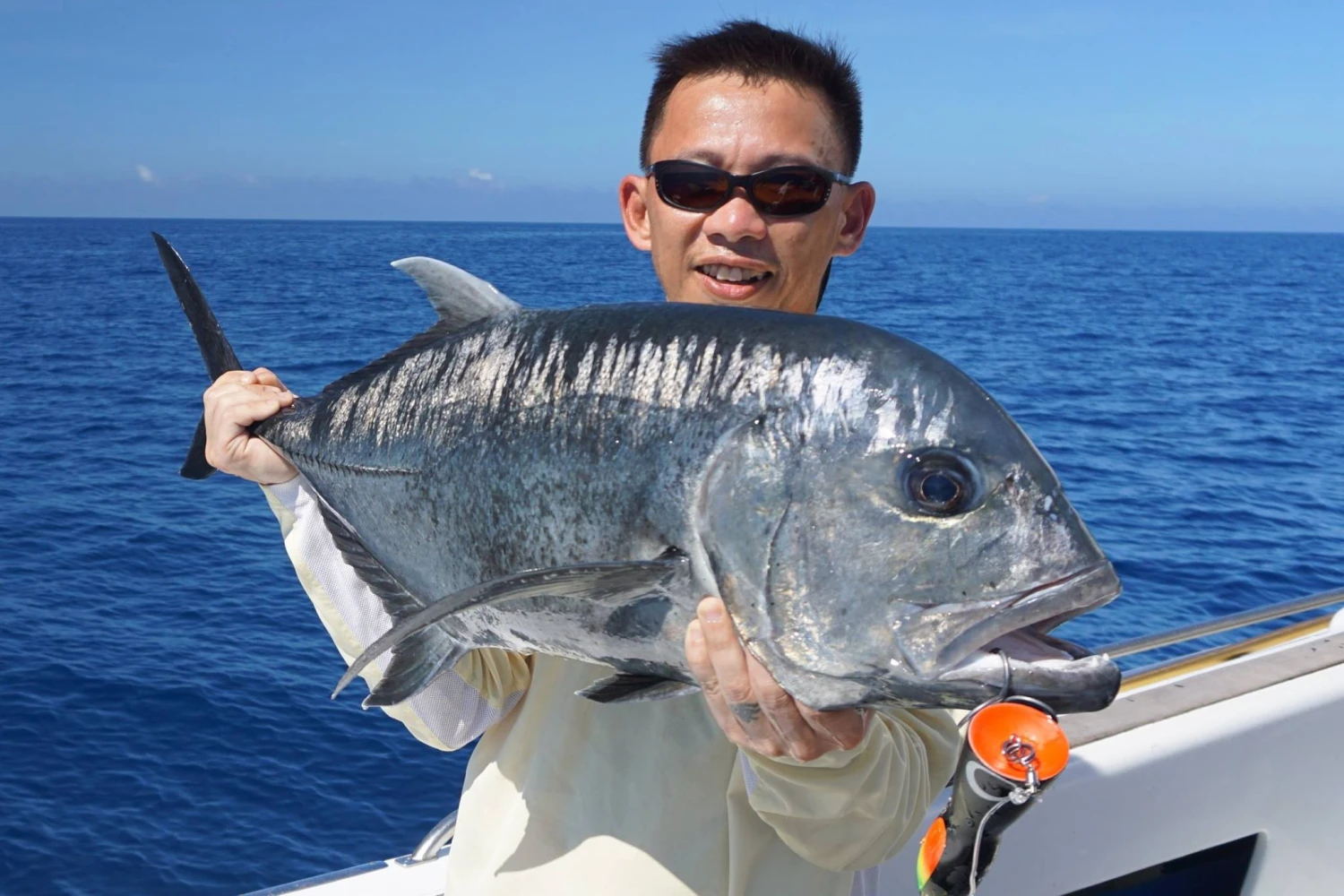 Borboleta Ballyhoo GT Poppers 11 Borboleta Ballyhoo GT Poppers - Image 11