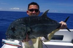 Yambal Be-gin Popper -Salty Water Tackle p 8 3 1 3 8313 Yambal Be gin Popper