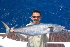 Yambal Be-gin Popper -Salty Water Tackle p 8 3 1 4 8314 Yambal Be gin Popper