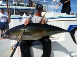 Carpenter Blue Chaser BLC 86/25