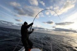 Carpenter Blue Chaser BLC 83/30R-PowerMax SC