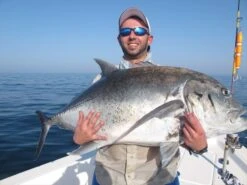 Carpenter Gamma GT-y 250 -Salty Water Tackle p 9 1 8 0 9180 Carpenter Gamma GT y 250