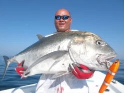 Carpenter Gamma GT-y 250 -Salty Water Tackle p 9 1 8 1 9181 Carpenter Gamma GT y 250