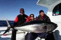 Hot’s Keiko Ocean Floating Pencil 260 -Salty Water Tackle p 9 2 1 9 9219 Hots Keiko Ocean