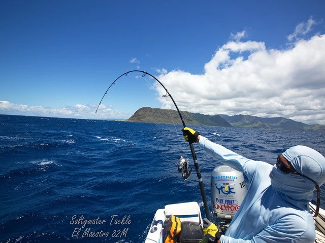 Saltywater Tackle El Maestro Series Blank 2 Saltywater Tackle El Maestro Series Blank - Image 2