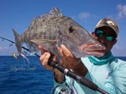 Saltywater Tackle Tortugas Light Jigging Rods 22 Saltywater Tackle Tortugas Light Jigging Rods -Salty Water Tackle p 9 3 9 1 9391 Saltywater Tackle Tortugas Light Jigging Rods