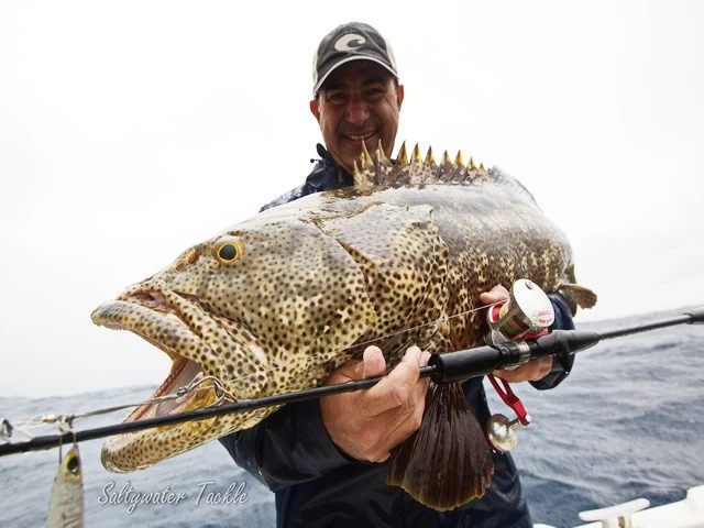 Saltywater Tackle Tortugas Light Jigging Rods 12 Saltywater Tackle Tortugas Light Jigging Rods - Image 12