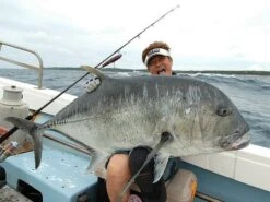 Hammerhead Cherry Boy 240 SUS