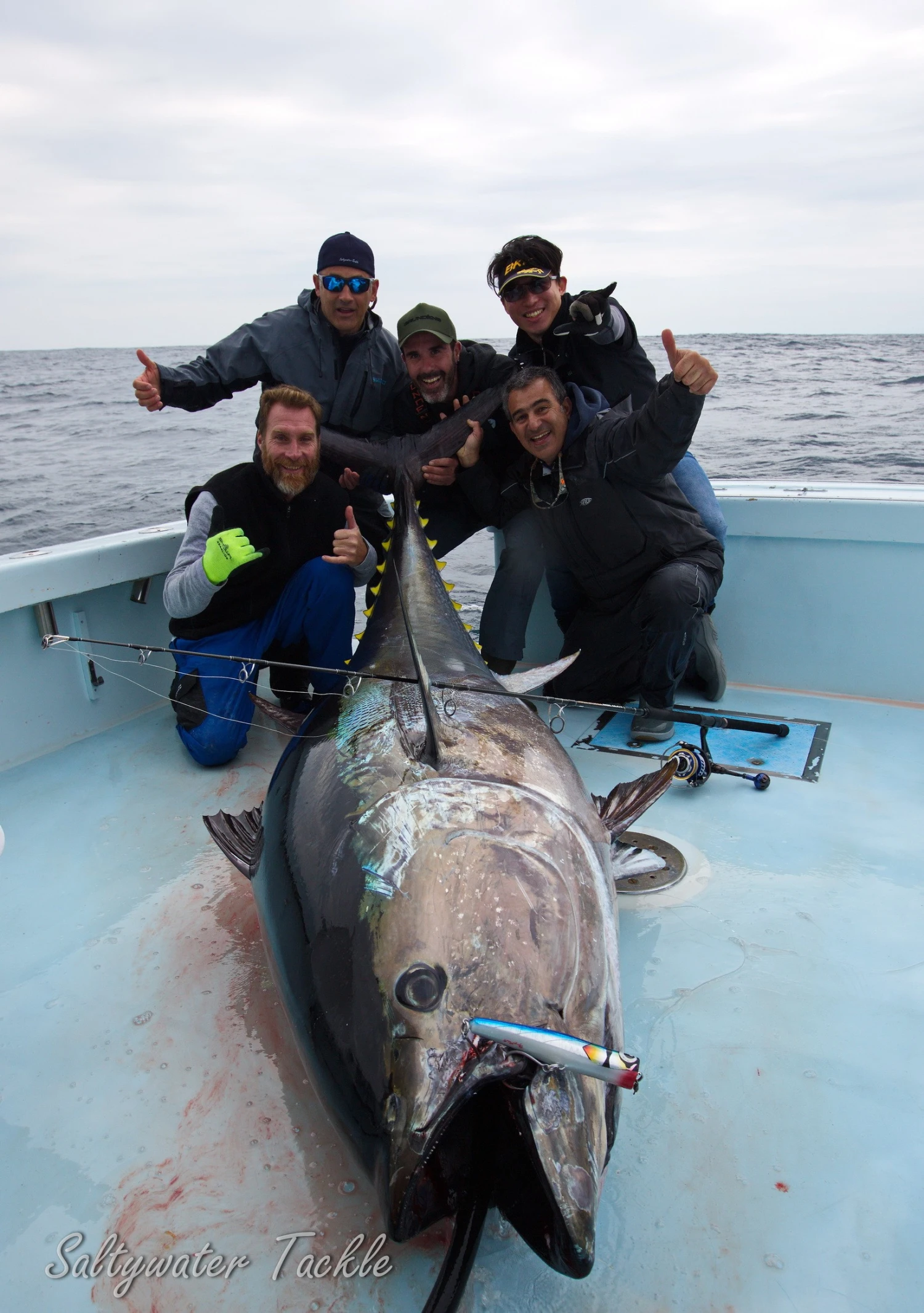 Amegari Dzanga 195 B-Cup 1 Amegari Dzanga 195 B-Cup