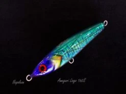 Amegari Lingo 160S -Salty Water Tackle p 9 8 6 3 9863 Napoleon
